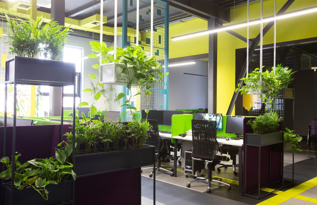 Plants Office
