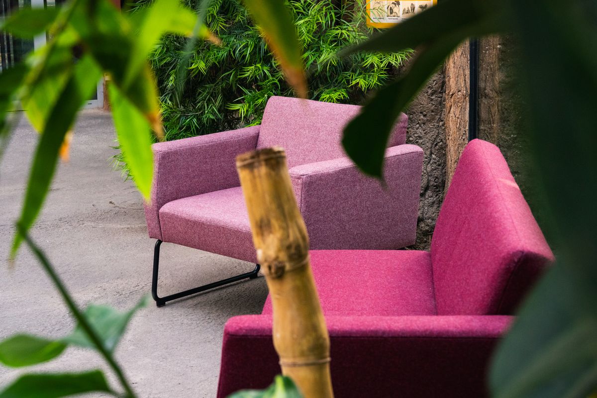 Pinkfarbene Lounge-Sessel vor gr&uuml;ner Zoo-Kulisse