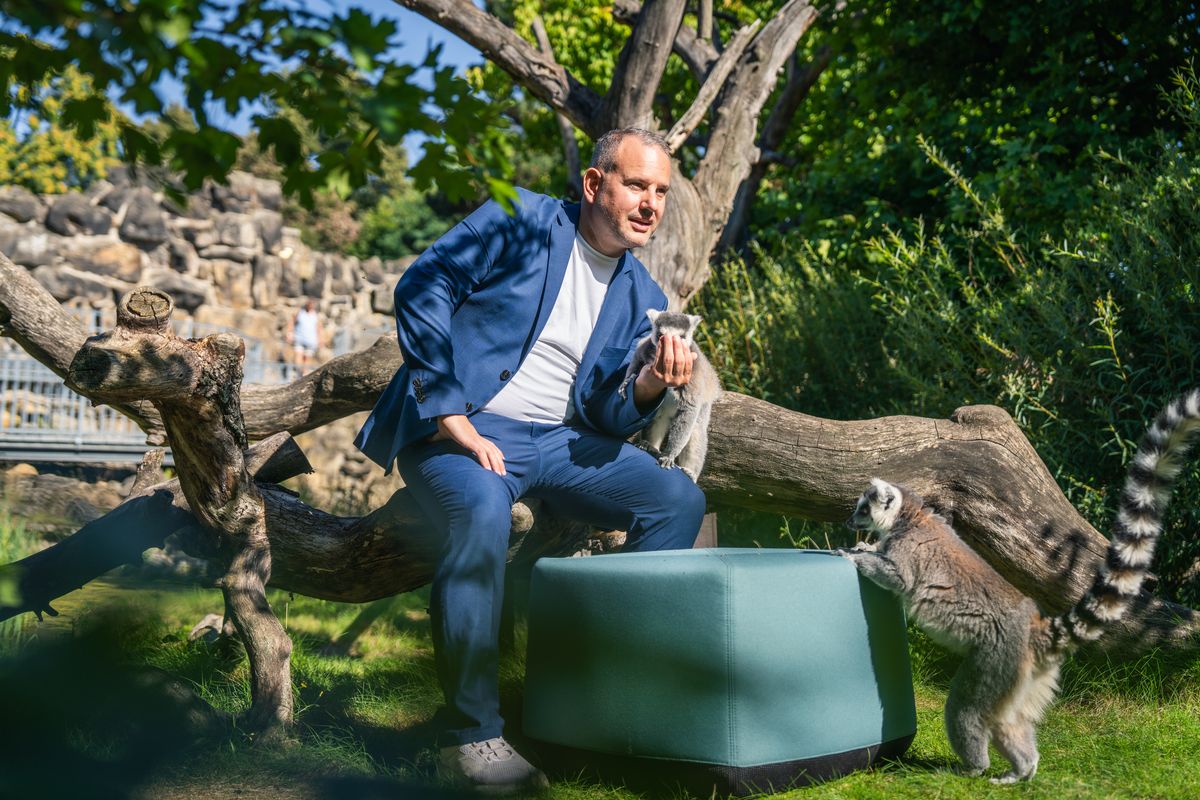 Mann sitzt auf einem gr&uuml;nen Loungem&ouml;bel neben Kattas im Gehege